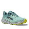 Womens Shoes Hoka | Womens Hoka Challenger Atr 7 Wide In Mist Green/Trellis