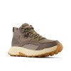 Mens Shoes New Balance | Mens New Balance Fresh Foam Hierro Mid In Wren/Bungee/Golden Hour