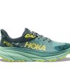 Womens Shoes Hoka | Womens Hoka Challenger Atr 7 Gtx In Trellis/Balsam Green