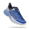 Womens Shoes Hoka | Womens Hoka Speedgoat 5 Purple Impression/Bluing