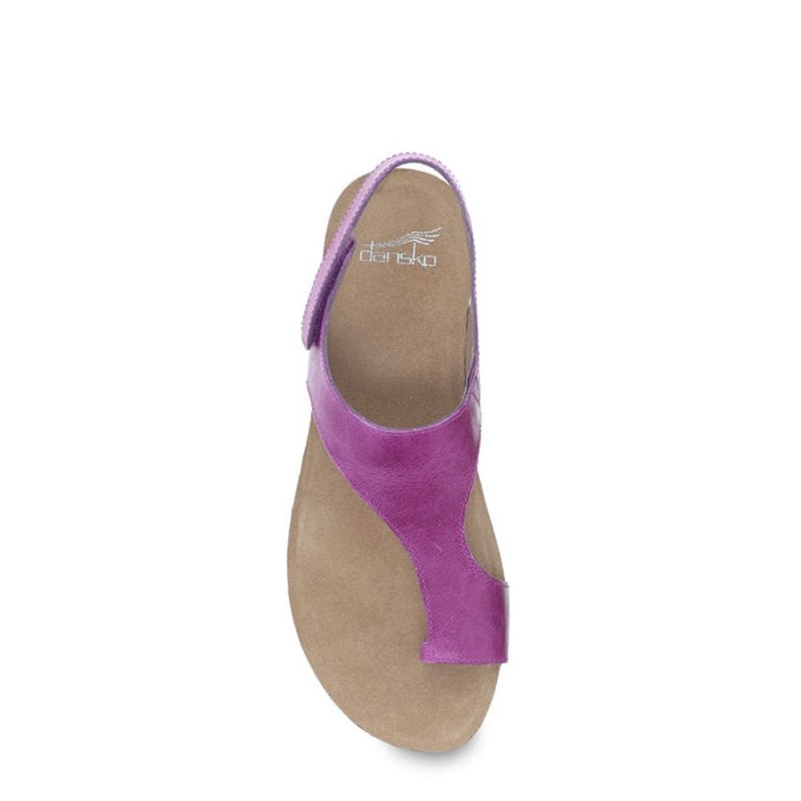 Womens Shoes Dansko | Womens Dansko Reece Toe Loop Sandal In Magenta